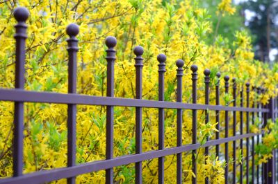 Decorative Wrought Iron Fence Installation