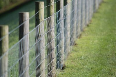 High Tensile Fence Installation